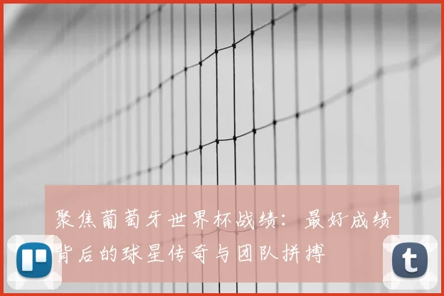 聚焦葡萄牙世界杯战绩：最好成绩背后的球星传奇与团队拼搏