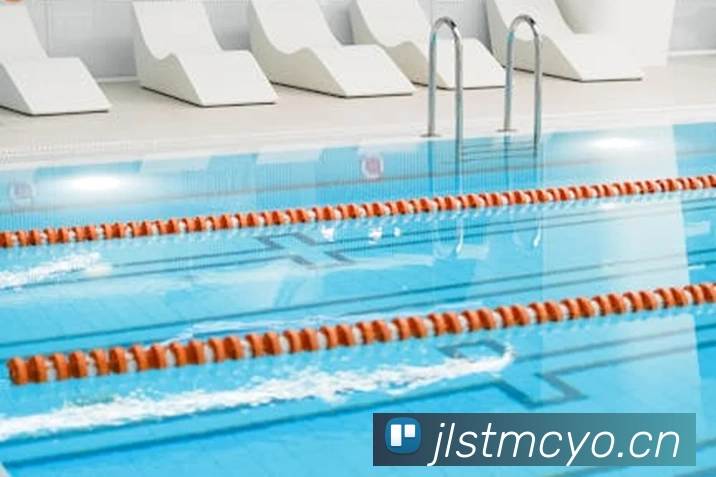 星空平台app官网入口平台生态图