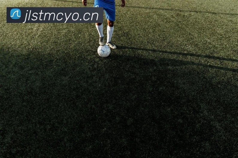 星空平台app官网入口APP 封面图